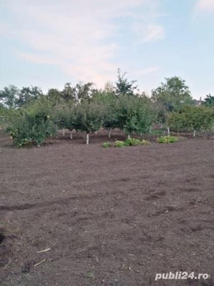 Casă cu 4 camere în Grivița