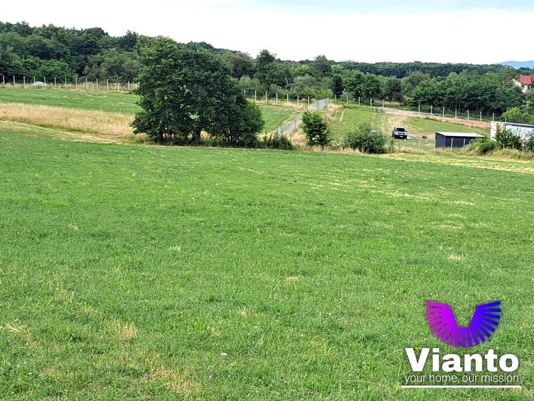 Teren agricol extravilan de 6200 mp, în Rășinari