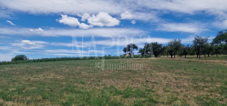 Teren Construcții intravilan de 167000 mp, în Iris