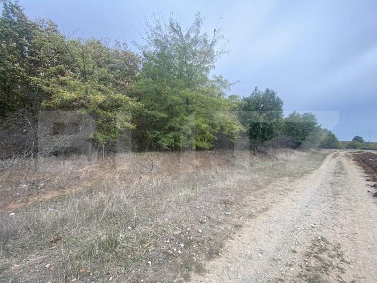 Teren Construcții intravilan de 15000 mp, în Est