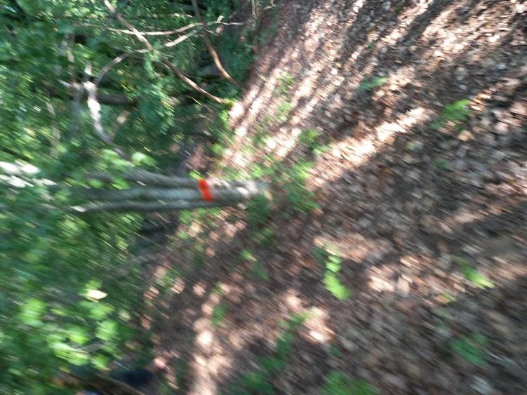 Teren de 27000 mp, în Mănăstirea