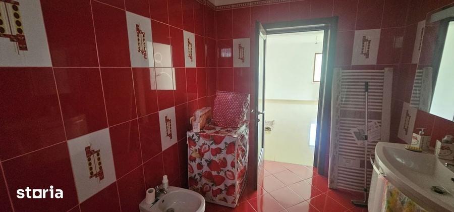 Casă cu 5 camere cu Teren 3600 Mp în Bâlca