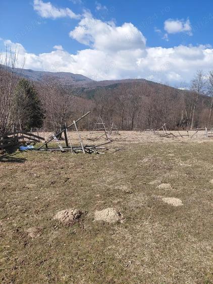 Teren de 1300 mp, în Valea Doftanei