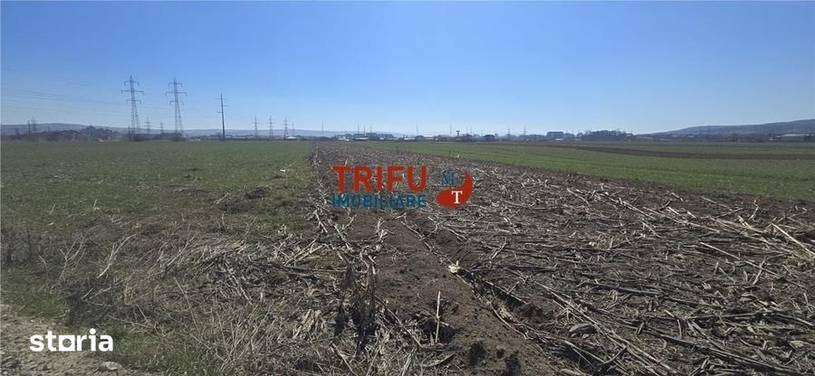 Teren de 2350 mp, în Bărăbanț