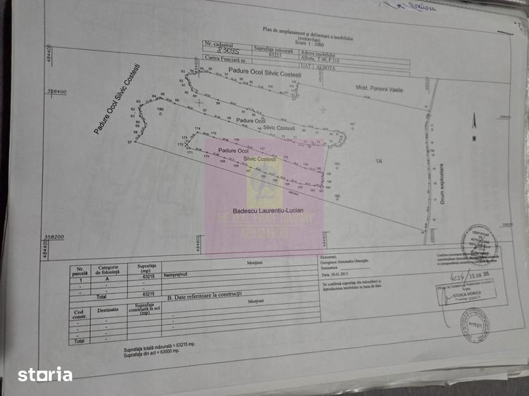 Terenuri cu poten?ial logistic ?i industrial, Albota, Arge?, langa DEx - 9