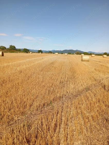 Teren de 63000 mp, în Halmeu