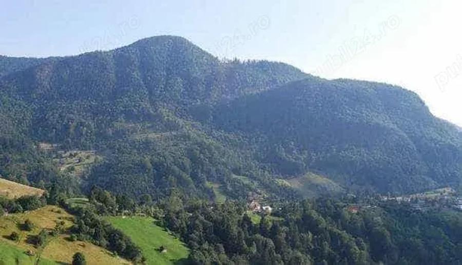 Teren de 90000 mp, în Albești