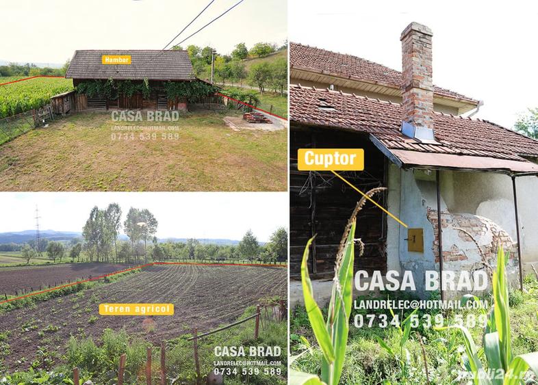 Casă cu 5 camere cu Teren 1373 Mp în Brad