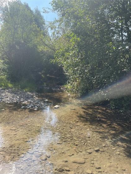 Teren de 2500 mp, în Central