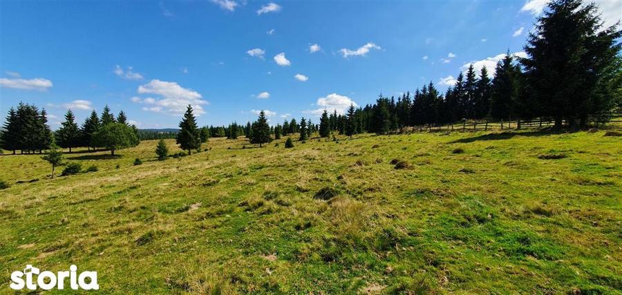Teren de 10800 mp, în Beliș