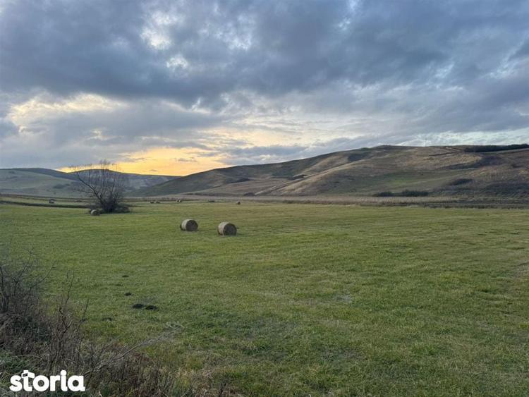 Teren de 6000 mp, în Cojocna