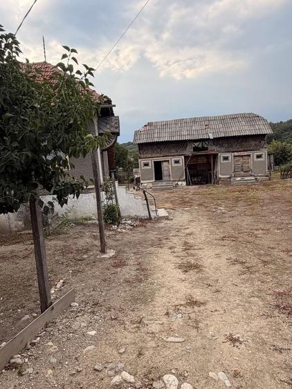 Spațiu comercial, în Căprioru