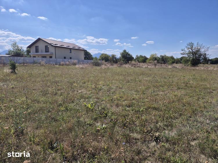 Teren intravilan- 1000mp- Harman-Brasov - 2