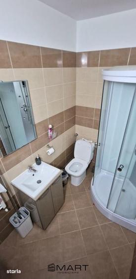 Apartament cu 2 camere, mobilat în Terezian