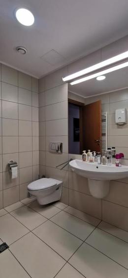 Spațiu comercial, de 235 mp, în Primăverii