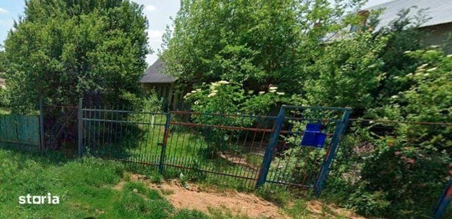 Teren intravilan - 2.470m2 + Casa neintabulata ~ Silistea Snagovului - 4