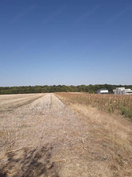 Teren de 5800 mp, în Moara Vlăsiei