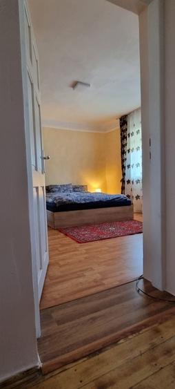 De vanzare Casa in Valea lui mihai - 2