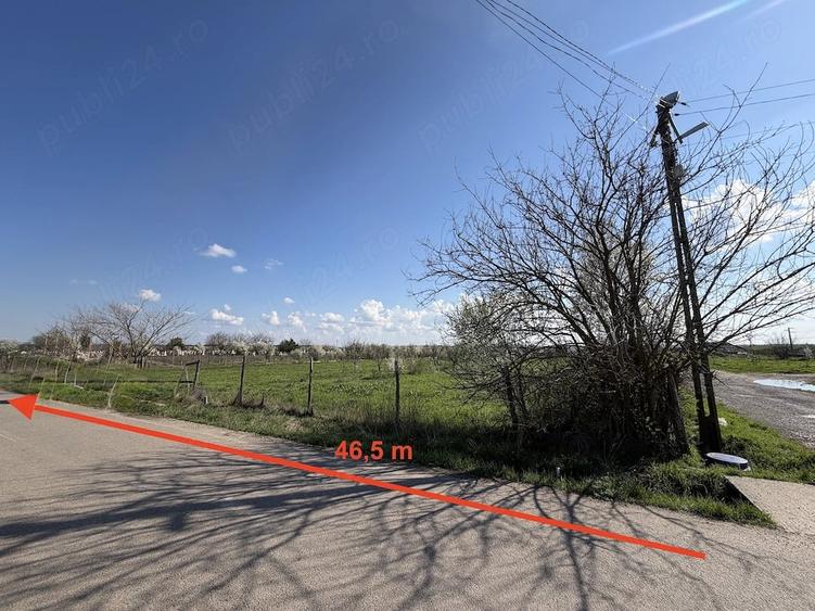 Teren de 5000 mp, în Iepurești