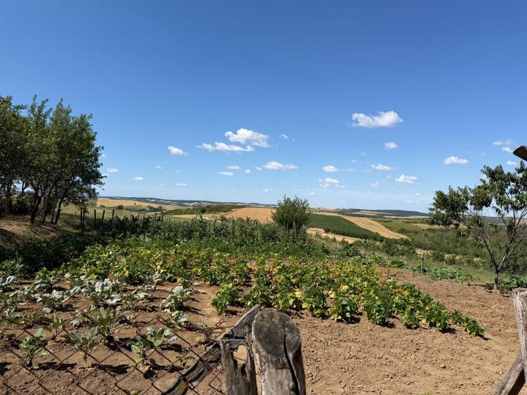 Casă cu 3 camere în Orbău