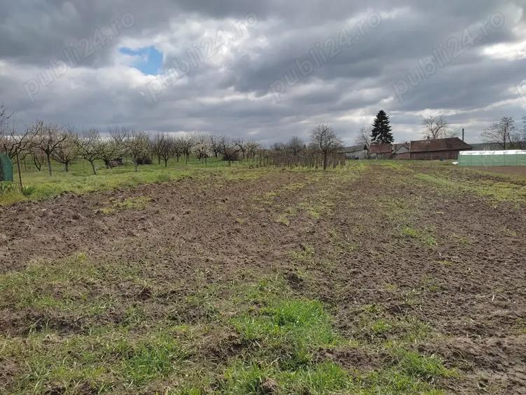 Casă cu 2 camere în Cetariu