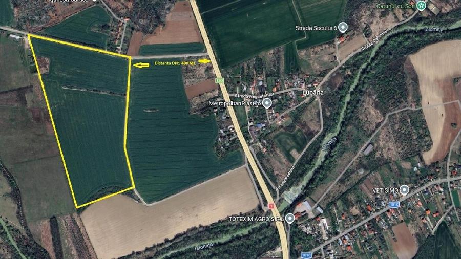 Teren agricol intravilan de 200000 mp, în Ciolpani