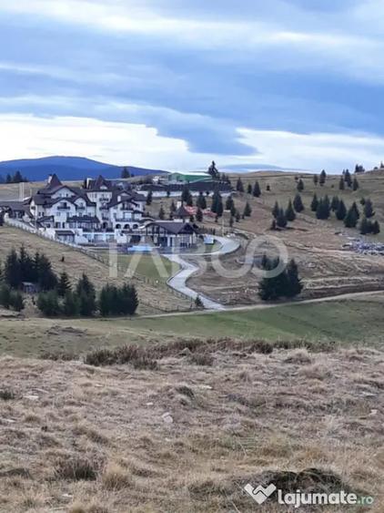 Teren de 3854 mp, în Paltin
