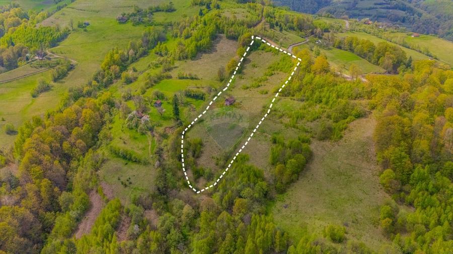 Teren agricol extravilan de 18537 mp, în Poiana Mărului