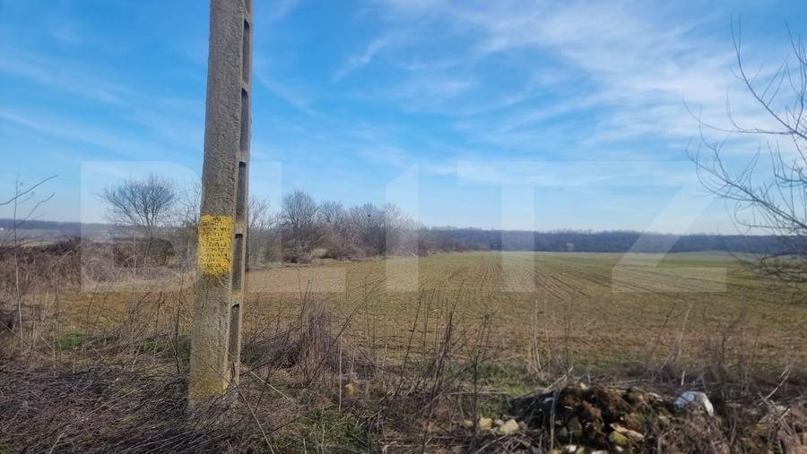 Teren agricol intravilan de 14700 mp, în Lipănești