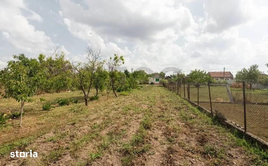 Casă cu 4 camere cu Teren 1672 Mp în Tămășeu