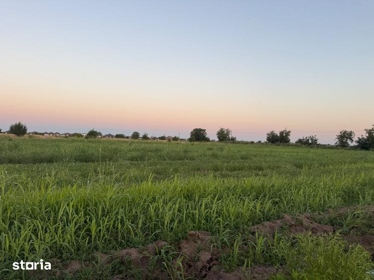 Teren de 1000 mp, în Odăi