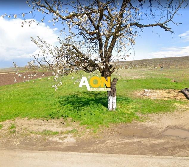 Teren Construcții intravilan de 3600 mp, în Sud
