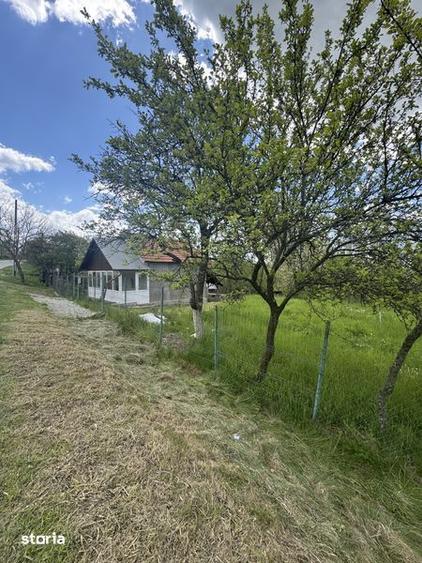 Casa si teren de vanzare, Cepari, Arges - 8