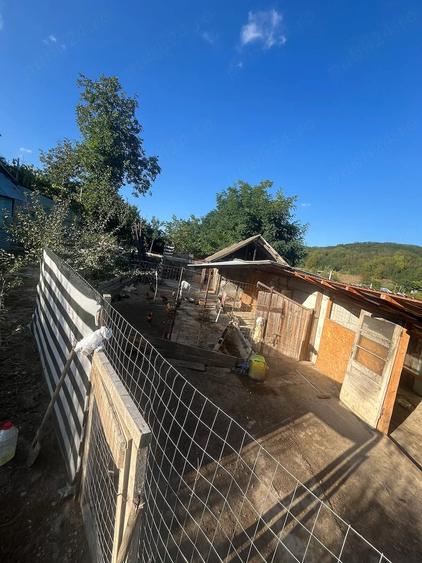 Casa de 1000m2 in Hoisesti Neamt - 1