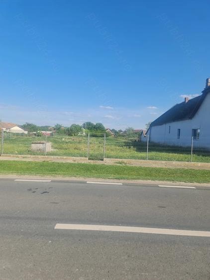 Teren de 3084 mp, în Pustiniș