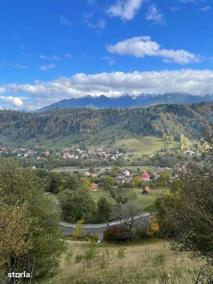 Teren extravilan cu priveliste catre Bucegi Moieciu de Jos 4.700 mp - 13