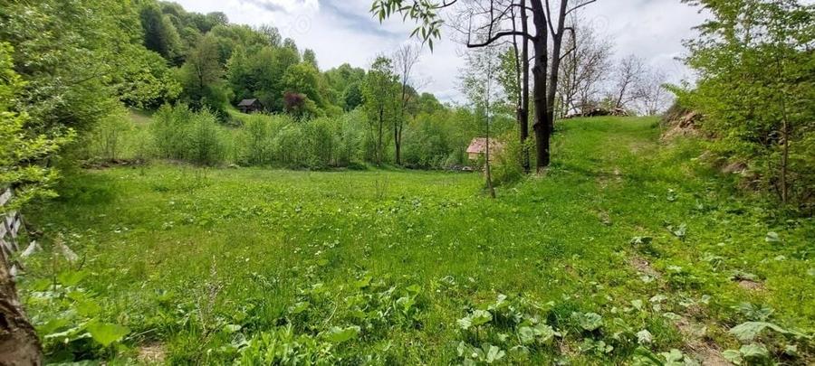 Teren de 12820 mp, în Agăș