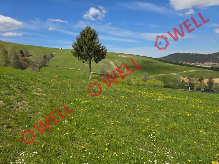 Teren extravilan de 8157 mp, în Sita Buzăului
