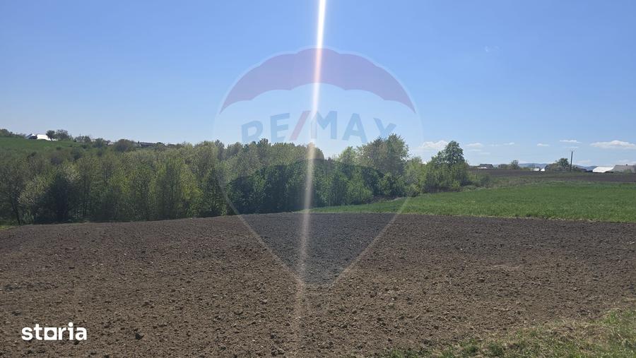 Teren de 9180 mp, în Horodnic