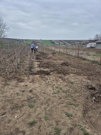 Teren de 861 mp, în Pielești
