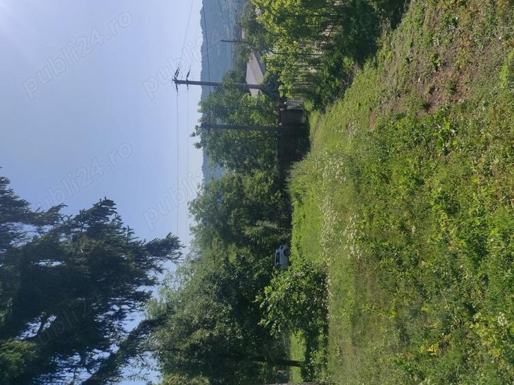 Teren de 600 mp, în Central