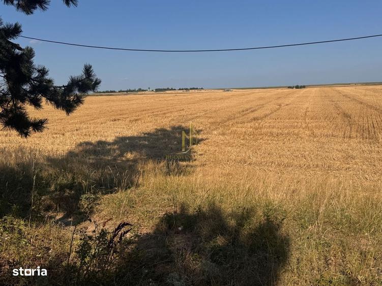 Teren de vanzare 10.200 mp, PlopeniSalcea, zona Aeroportului Suceava - 6