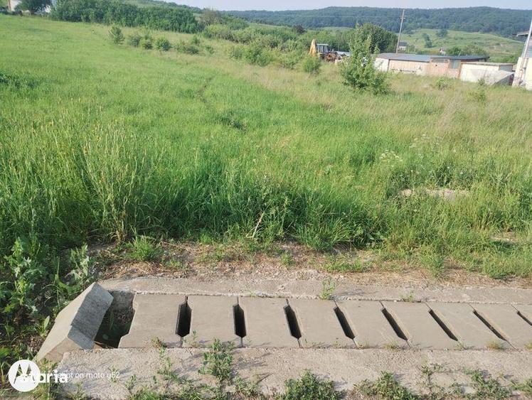 Teren de 4200 mp, în Aghireșu