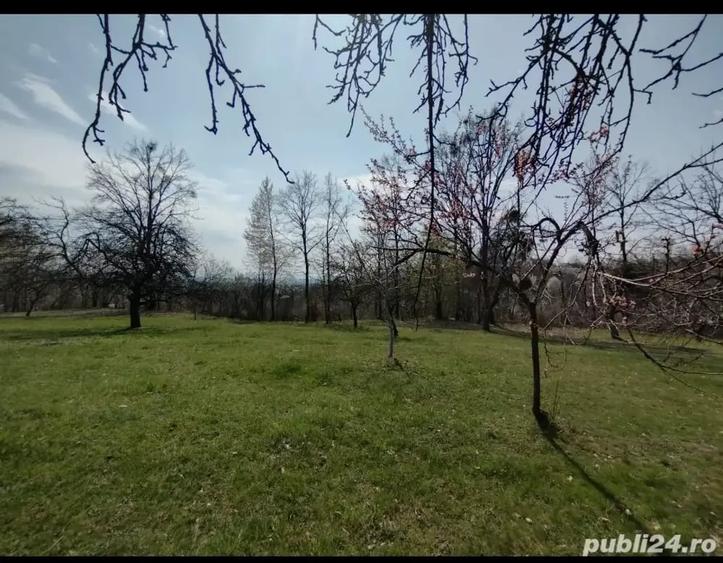Teren de 6800 mp, în Șișești