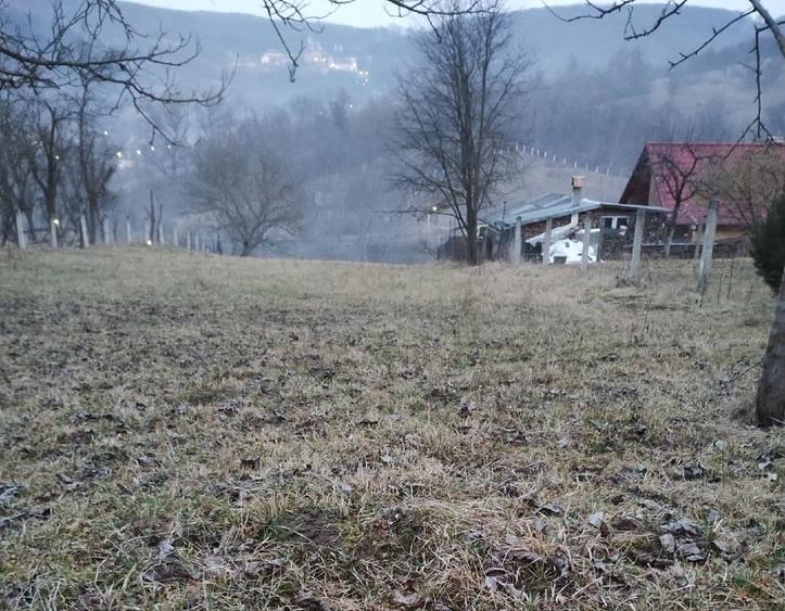 Teren Construcții intravilan de 2750 mp, în Nicula