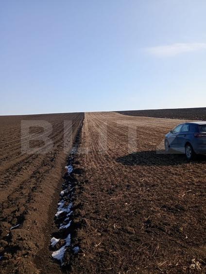Teren agricol extravilan de 4200 mp, în Periferie