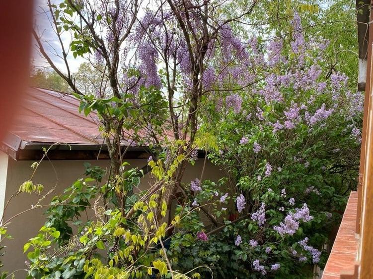 Apartament cu 2 camere decomandat în Drumul Taberei