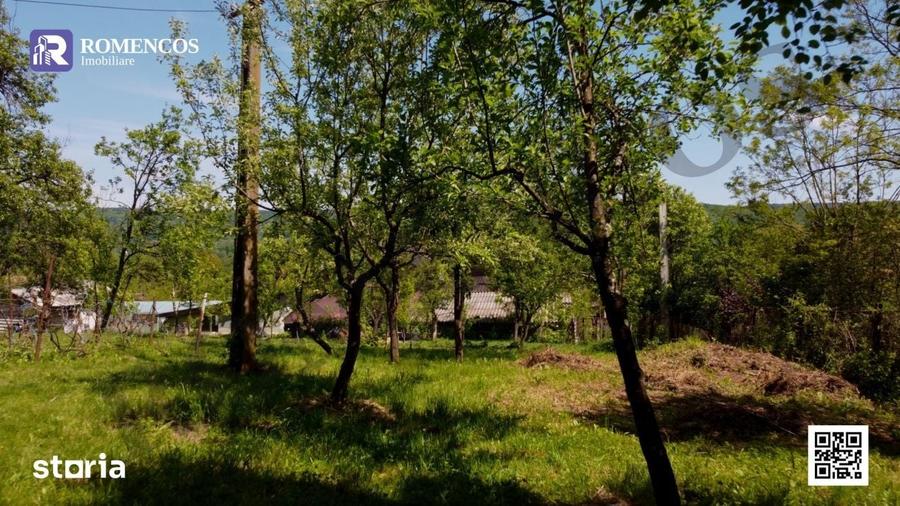Teren de 1000 mp, în Stâlpeni