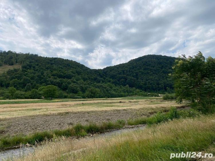 Teren de 3300 mp, în Dobra