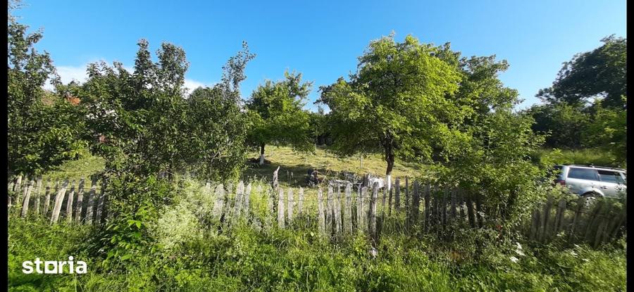 Teren, 410 m2, - 3